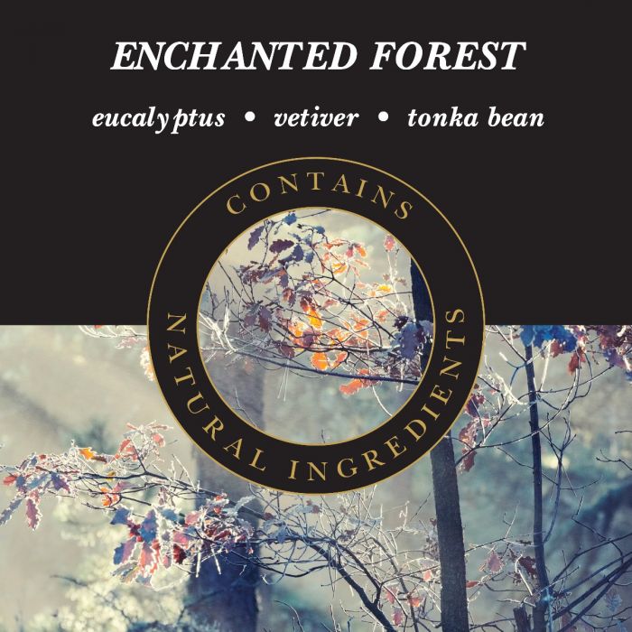 Enchanted Forest | Presentimes